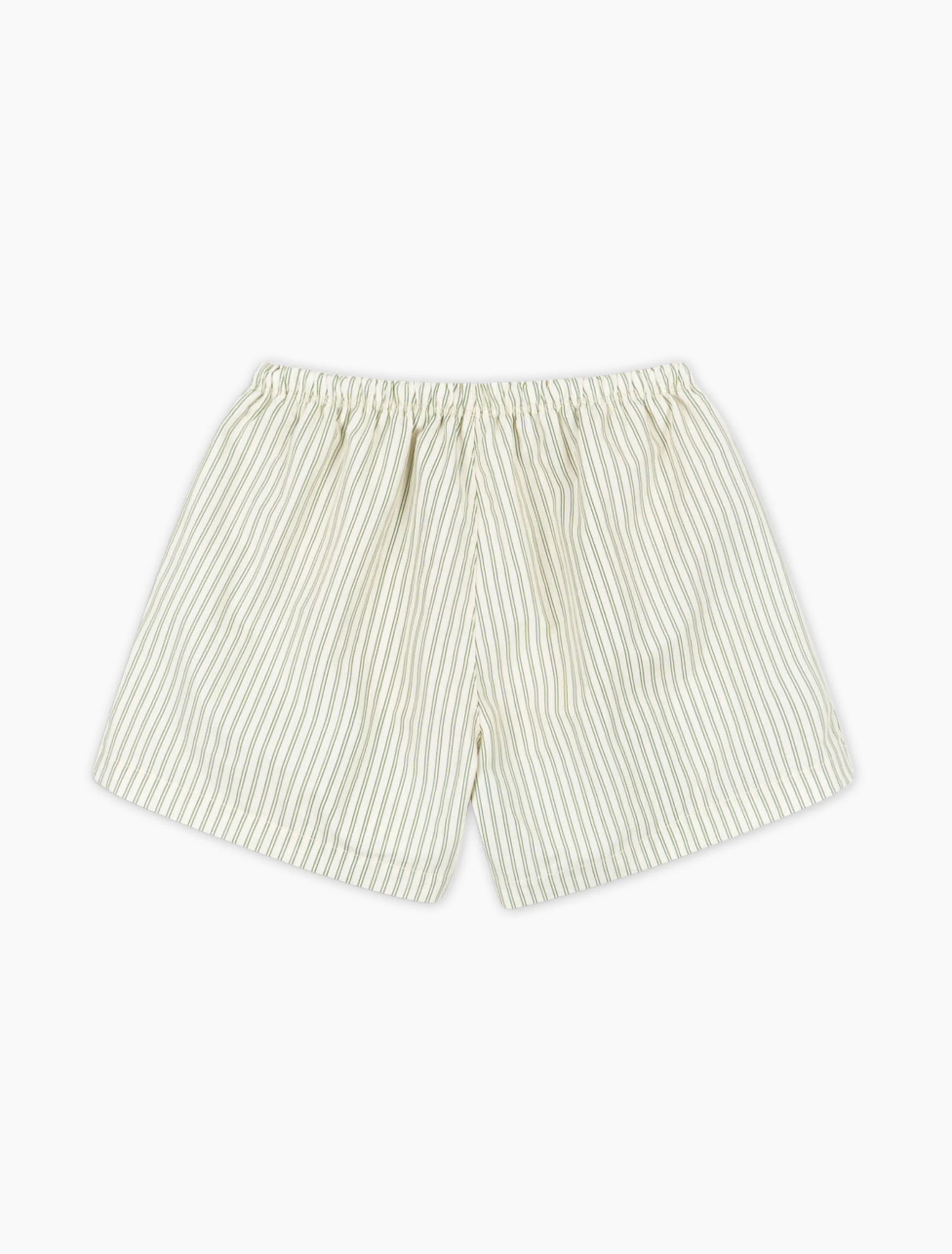 Asnou Swim Shorts in Bande Verte - Image 4