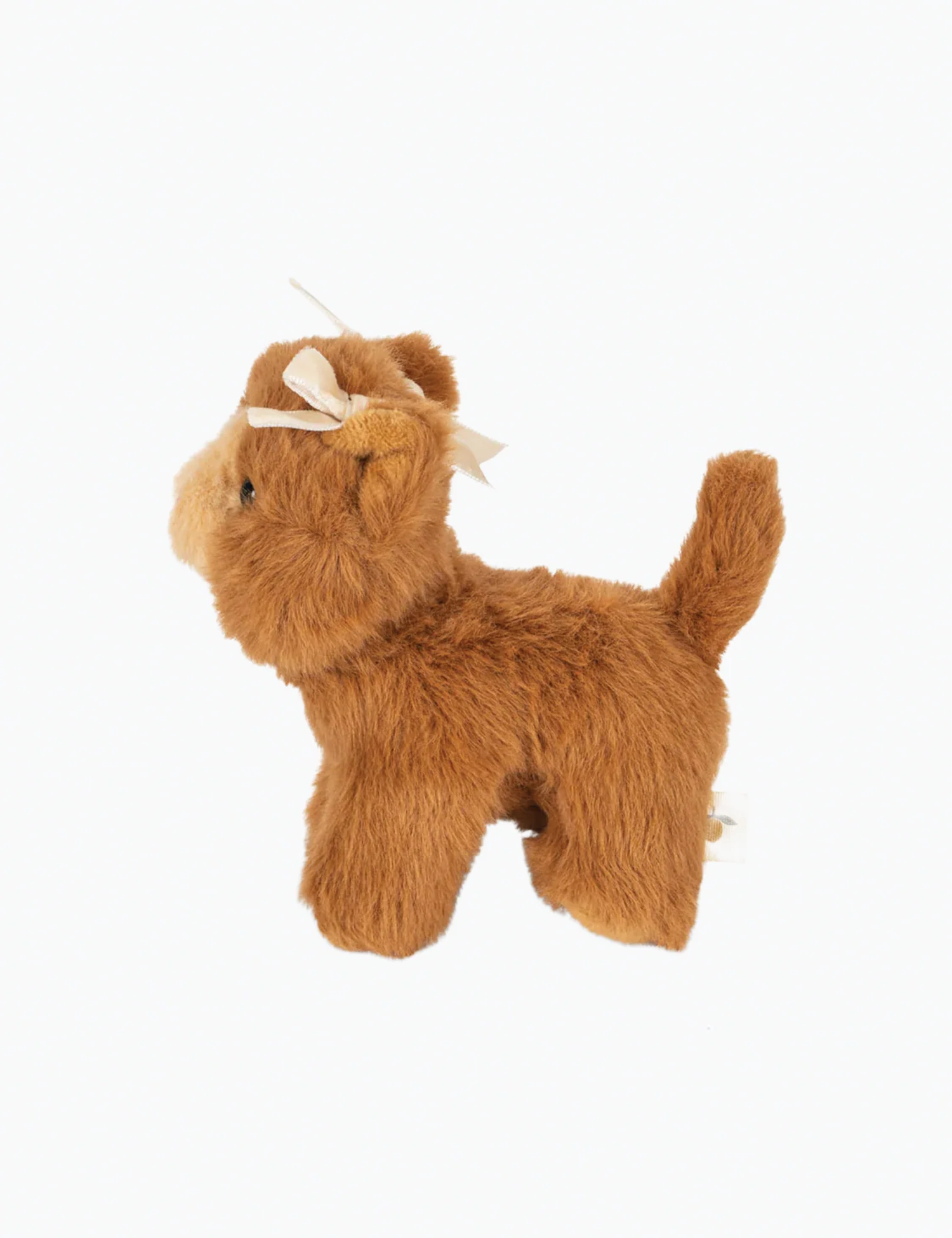 Baby Brown Cat - Image 5