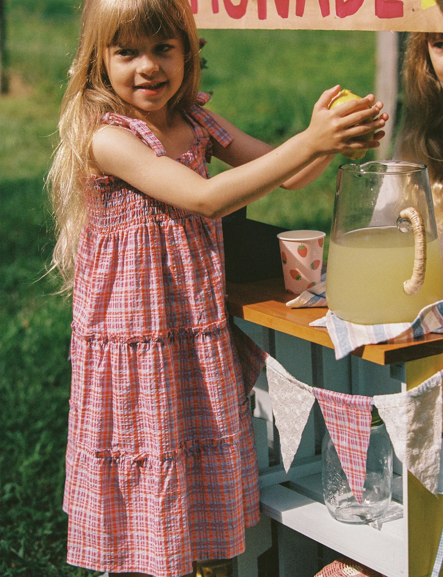 Belle Dress in Picnic Check - Image 3