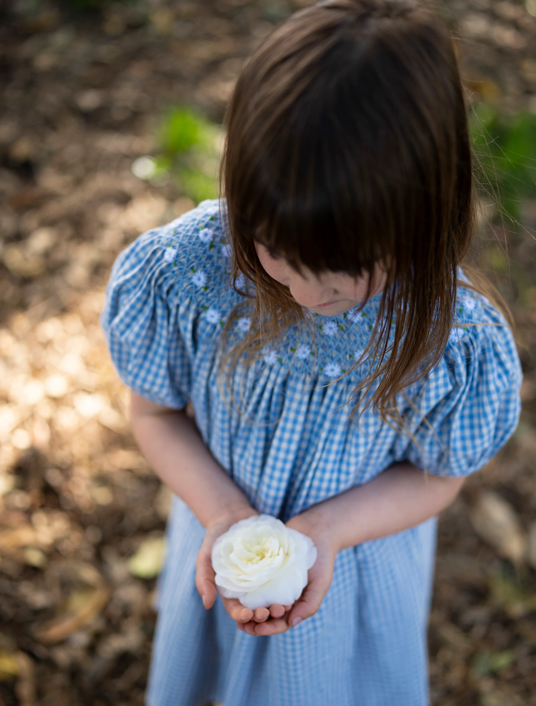 Celeste Dress in Baby Blue Gingham - Image 6