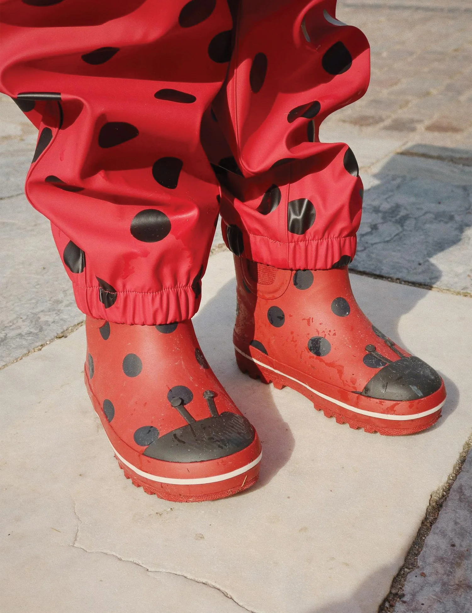 Cinelle Rainboot in Lady Dot - Image 5