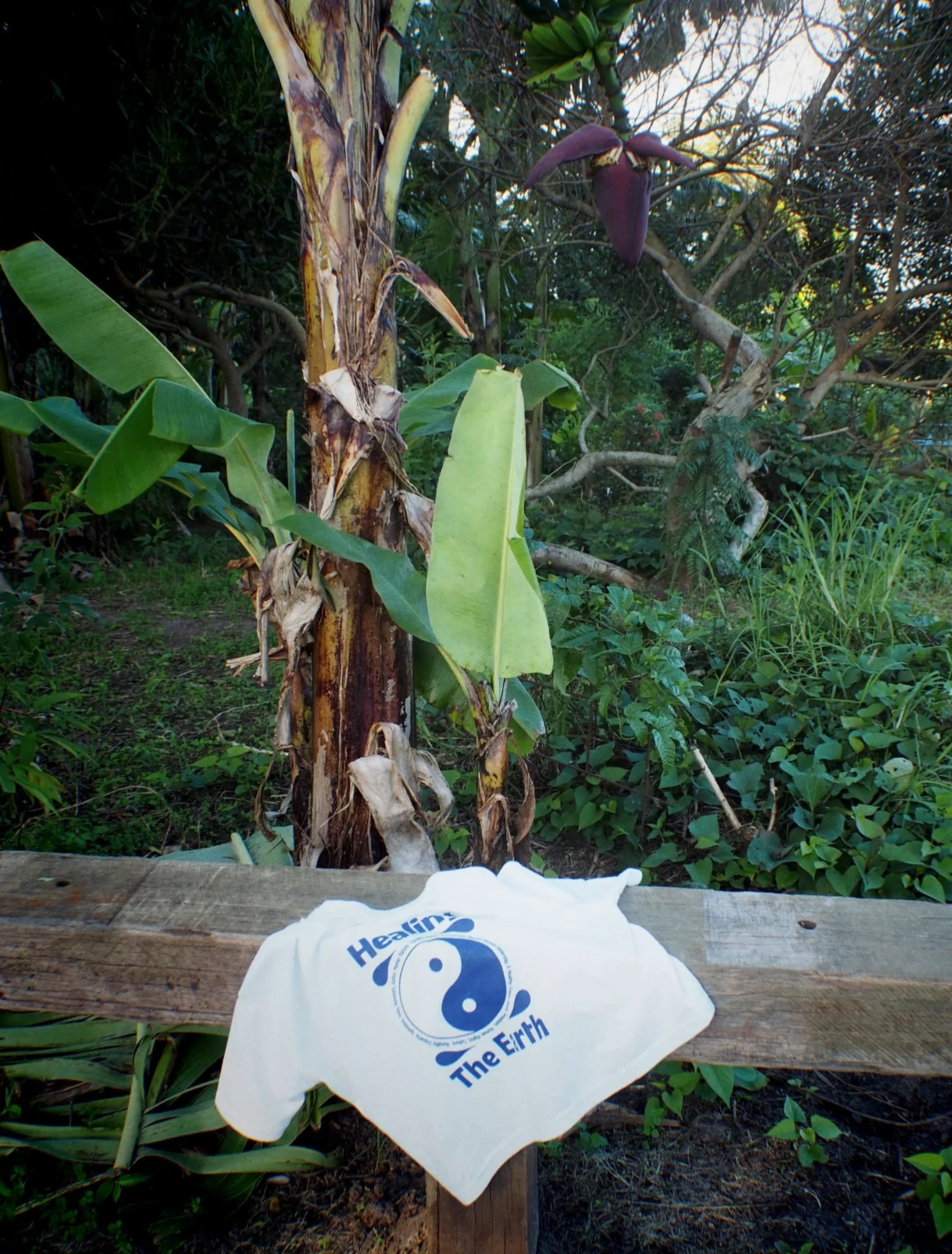 Keep Earth Around Tee in White + Deep Blue Print - Image 4