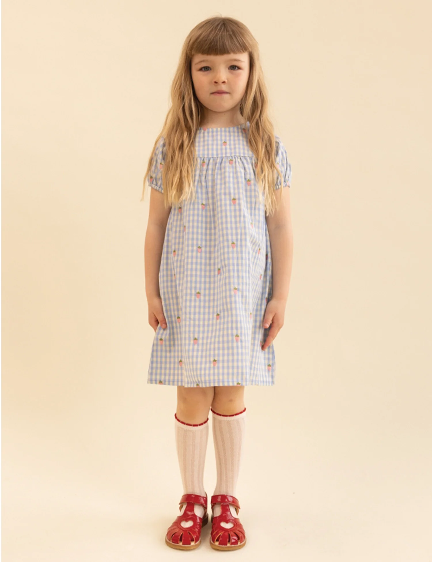 Mille SS Dress in Sky Berry Gingham - Image 3