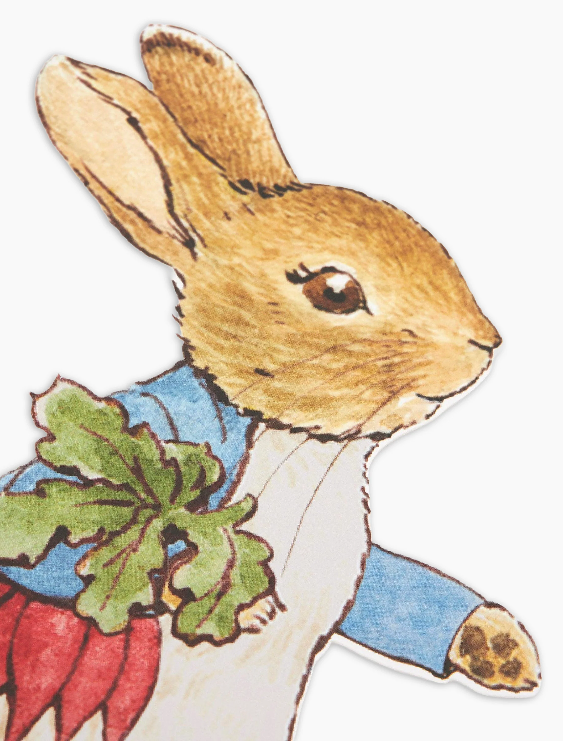 Peter Rabbit™ & Friends Egg Hunt Kit - Image 3