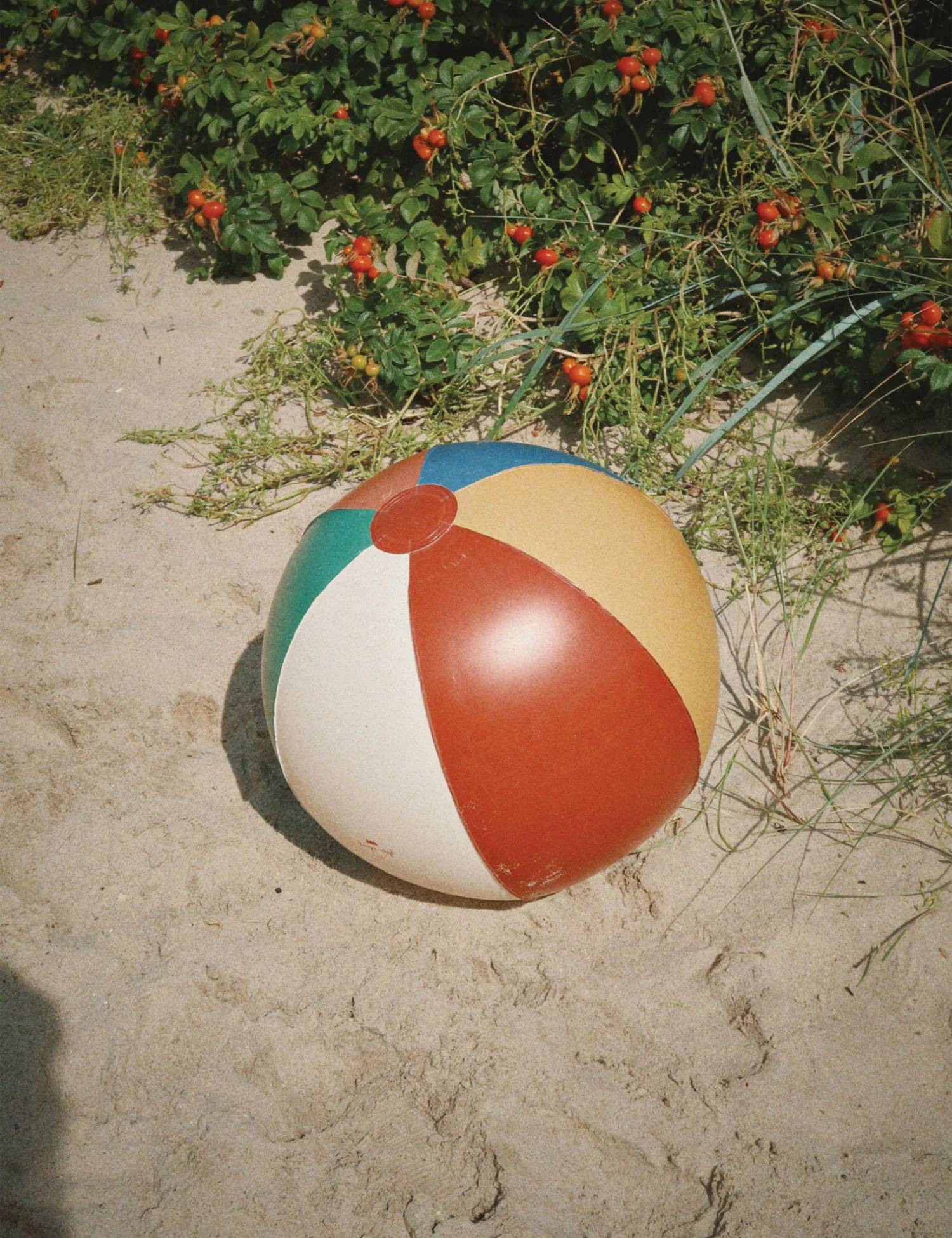 Swim Ring + Beach Ball in Multi - Image 2